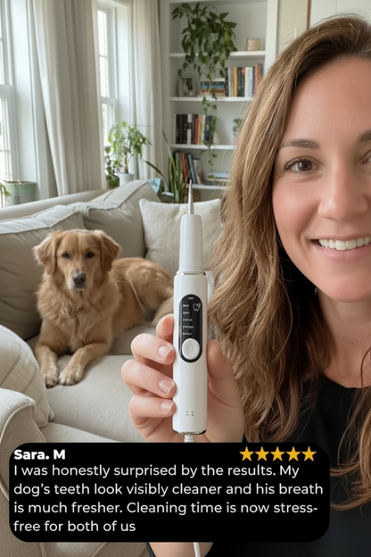 PurePaw Dental
